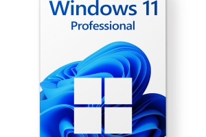 Windows 11 Pro